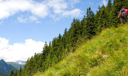Wanderung auf den Gamskogel - Anreise per BRB